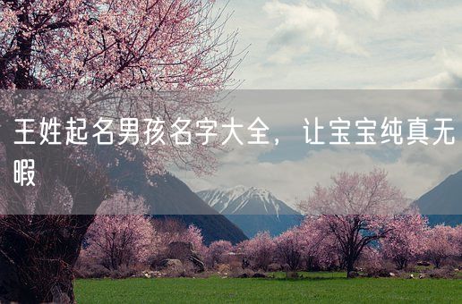 王姓起名男孩名字大全，让宝宝纯真无暇(图1)