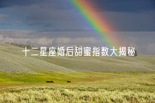 十二星座婚后甜蜜指数大揭秘(图1)