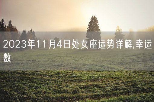2023年11月4日处女座运势详解,幸运数(图1)