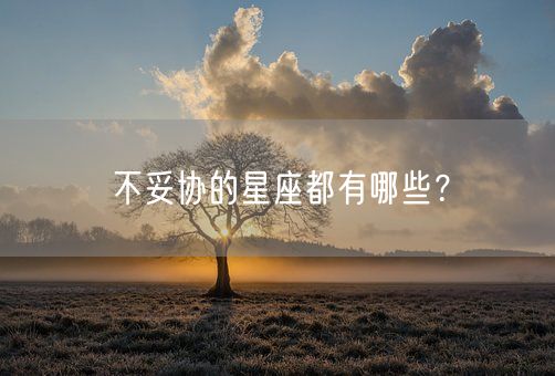 不妥协的星座都有哪些？(图1)