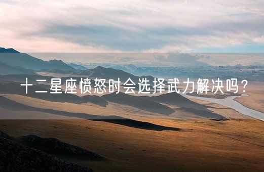 十二星座愤怒时会选择武力解决吗?(图1) 十二星座愤怒时会选择武力解决吗?(图1)