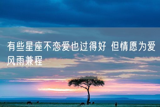 有些星座不恋爱也过得好 但情愿为爱风雨兼程(图1)