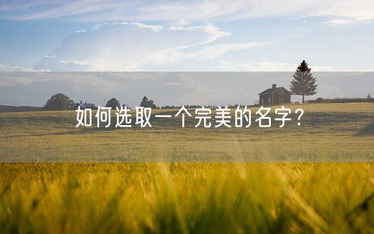 如何选取一个完美的名字？(图1)