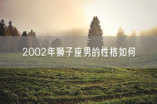 2002年狮子座男的性格如何(图1)