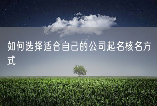 如何选择适合自己的公司起名核名方式(图1)