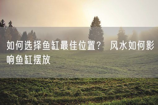 如何选择鱼缸最佳位置？ 风水如何影响鱼缸摆放(图1)