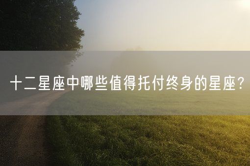 十二星座中哪些值得托付终身的星座？(图1)