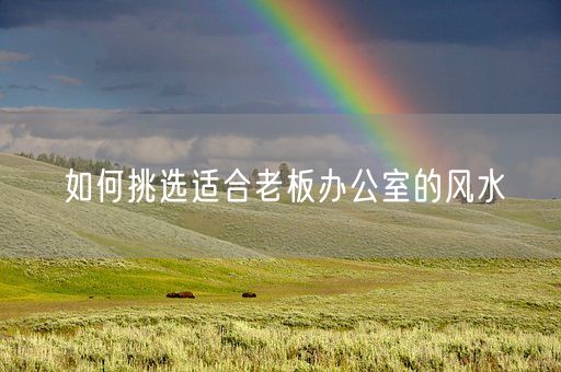 如何挑选适合老板办公室的风水(图1) 如何挑选适合老板办公室的风水(图1)