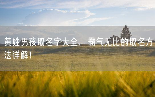 黄姓男孩取名字大全，霸气无比的取名方法详解！(图1)