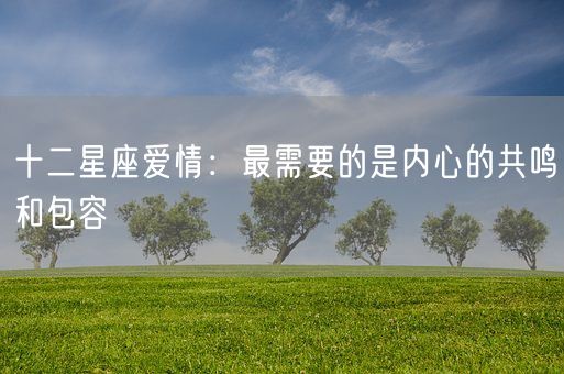 十二星座爱情：最需要的是内心的共鸣和包容(图1)