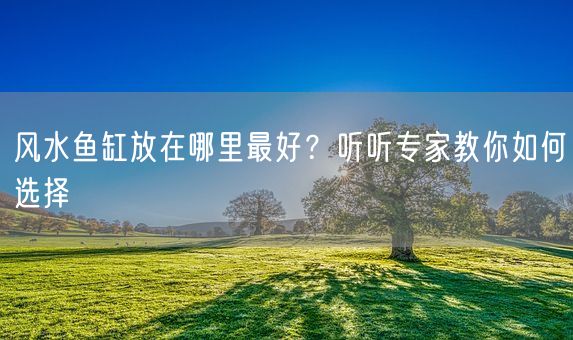 风水鱼缸放在哪里最好？听听专家教你如何选择(图1)