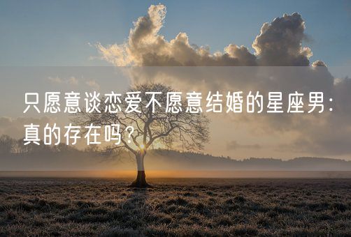 只愿意谈恋爱不愿意结婚的星座男：真的存在吗？(图1)