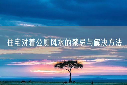 住宅对着公厕风水的禁忌与解决方法(图1)