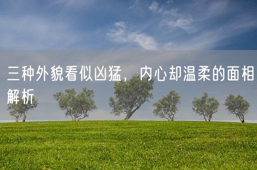 三种外貌看似凶猛,内心却温柔的面相解析(图1) 三种外貌看似凶猛,内心却温柔的面相解析(图1)