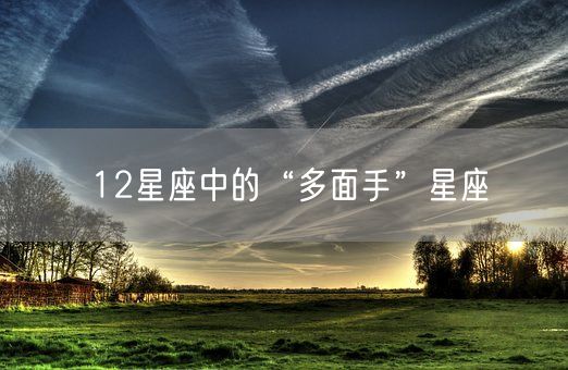 12星座中的“多面手”星座(图1) 12星座中的“多面手”星座(图1)