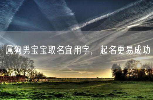 属狗男宝宝取名宜用字，起名更易成功(图1)