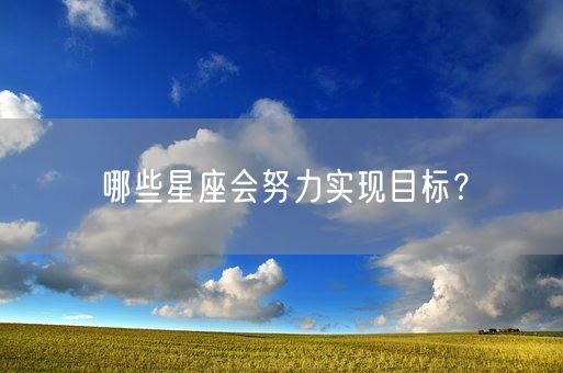 哪些星座会努力实现目标？(图1)