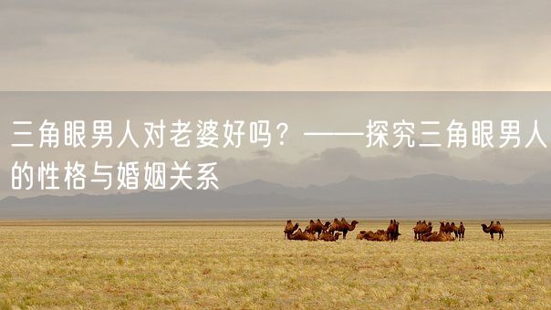 三角眼男人对老婆好吗?——探究三角眼男人的性格与婚姻关系(图1) 三角眼男人对老婆好吗?——探究三角眼男人的性格与婚姻关系(图1)