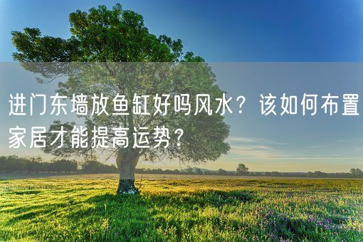 进门东墙放鱼缸好吗风水？该如何布置家居才能提高运势？(图1)