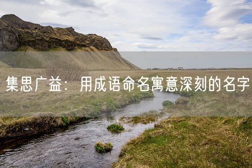 集思广益：用成语命名寓意深刻的名字(图1)