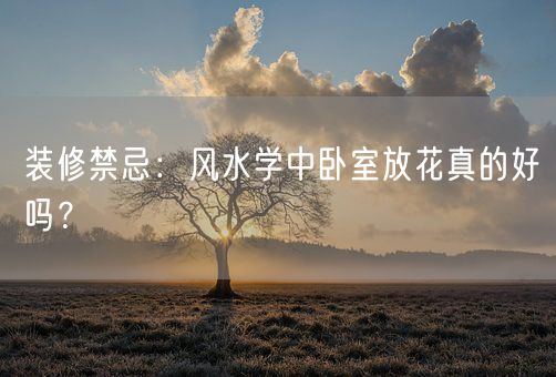 装修禁忌：风水学中卧室放花真的好吗？(图1)