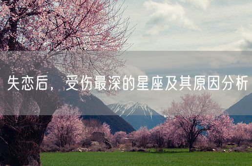 失恋后,受伤最深的星座及其原因分析(图1) 失恋后,受伤最深的星座及其原因分析(图1)