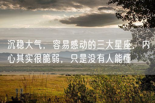 沉稳大气，容易感动的三大星座，内心其实很脆弱，只是没有人能懂(图1)
