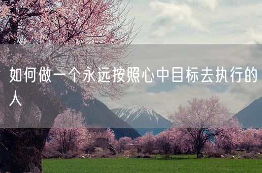 如何做一个永远按照心中目标去执行的人(图1)