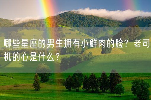 哪些星座的男生拥有小鲜肉的脸？老司机的心是什么？(图1)