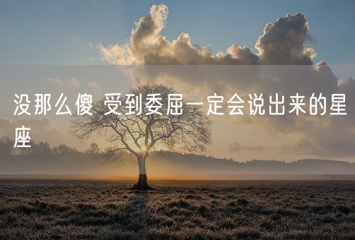 没那么傻 受到委屈一定会说出来的星座(图1)