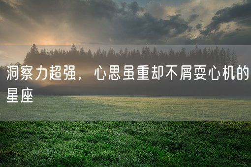 洞察力超强，心思虽重却不屑耍心机的星座(图1)