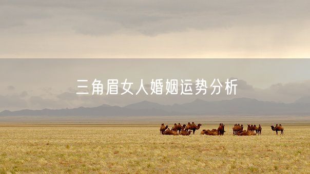 三角眉女人婚姻运势分析(图1) 三角眉女人婚姻运势分析(图1)