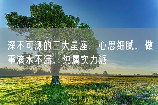 深不可测的三大星座，心思细腻，做事滴水不漏，纯属实力派(图1)