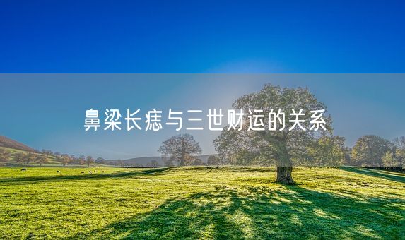 鼻梁长痣与三世财运的关系(图1)