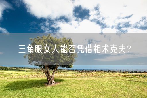 三角眼女人能否凭借相术克夫?(图1) 三角眼女人能否凭借相术克夫?(图1)