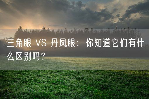 三角眼 VS 丹凤眼：你知道它们有什么区别吗？(图1)
