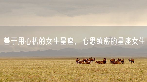 善于用心机的女生星座,心思缜密的星座女生(图1) 善于用心机的女生星座,心思缜密的星座女生(图1)