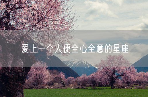 爱上一个人便全心全意的星座(图1) 爱上一个人便全心全意的星座(图1)
