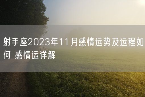 射手座2023年11月感情运势及运程如何 感情运详解(图1)