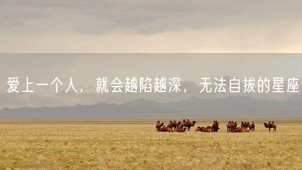 爱上一个人，就会越陷越深，无法自拔的星座(图1)