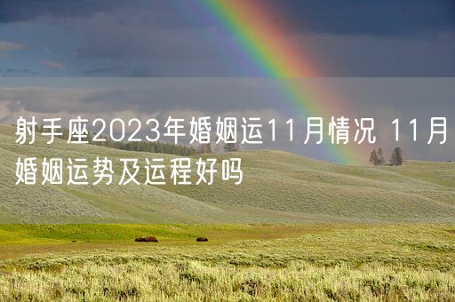 射手座2023年婚姻运11月情况 11月婚姻运势及运程好吗(图1)