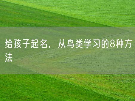 给孩子起名，从鸟类学习的8种方法(图1)