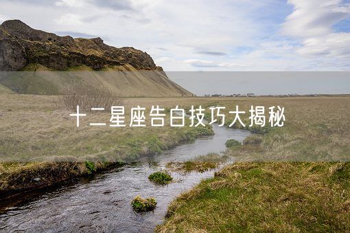 十二星座告白技巧大揭秘(图1) 十二星座告白技巧大揭秘(图1)