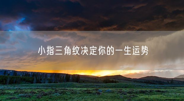 小指三角纹决定你的一生运势(图1) 小指三角纹决定你的一生运势(图1)