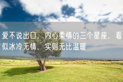爱不说出口,内心柔情的三个星座,看似冰冷无情,实则无比温暖(图1) 爱不说出口,内心柔情的三个星座,看似冰冷无情,实则无比温暖(图1)
