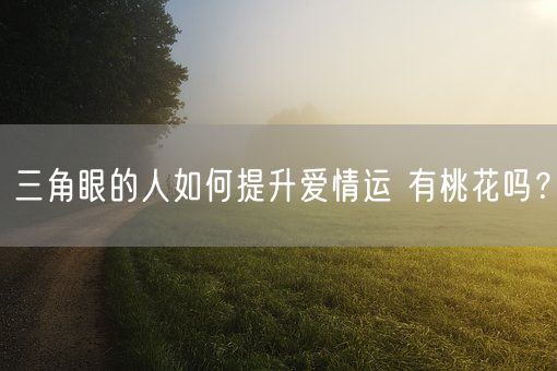 三角眼的人如何提升爱情运 有桃花吗?(图1) 三角眼的人如何提升爱情运 有桃花吗?(图1)