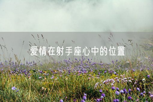 爱情在射手座心中的位置(图1) 爱情在射手座心中的位置(图1)