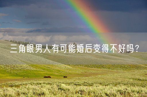 三角眼男人有可能婚后变得不好吗?(图1) 三角眼男人有可能婚后变得不好吗?(图1)