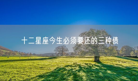 十二星座今生必须要还的三种债(图1) 十二星座今生必须要还的三种债(图1)