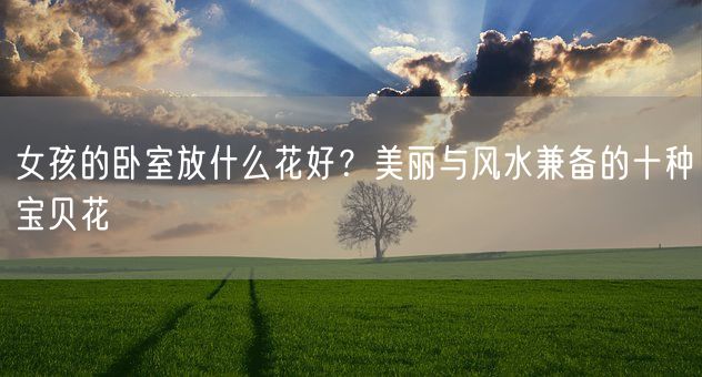 女孩的卧室放什么花好？美丽与风水兼备的十种宝贝花(图1)